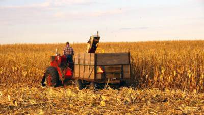 Российские поставщики резко увеличили отгрузки ячменя и кукурузы