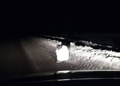 Сидела раздетая на обочине дороги: в Воронежской области ночью нашли странную женщину