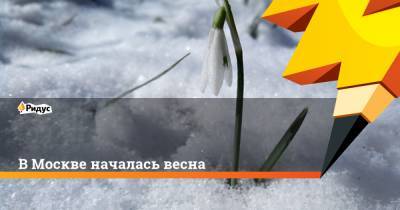 В Москве началась весна