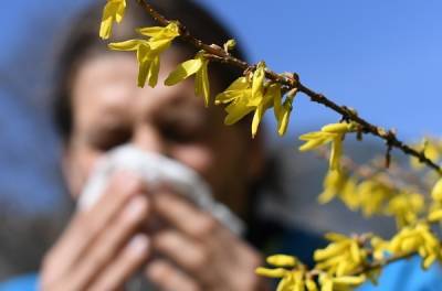 Аллерголог-иммунолог рассказала, чем нельзя лечить аллергию