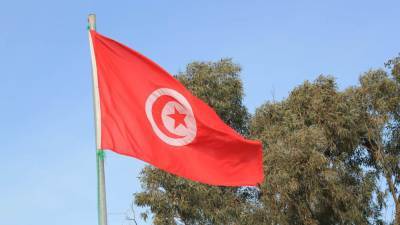 Оппозиция призвала жителей Туниса выйти на митинг против главы парламента