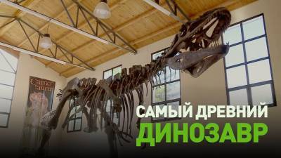 В Патагонии найдены самые древние останки титанозавра — видео