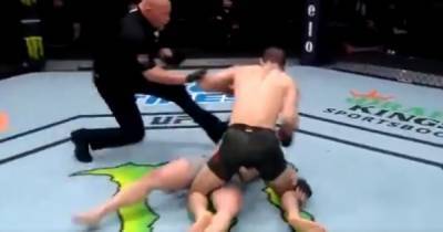 Брутальный нокаут: американский боец UFC вырубил соперника за 16 секунд (видео)