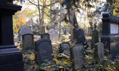 Женщина ради "мести" разбросала на кладбище фотографии мальчика