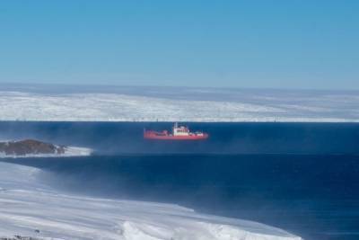 Застрявших в Антарктиде год назад петербуржцев вернут домой