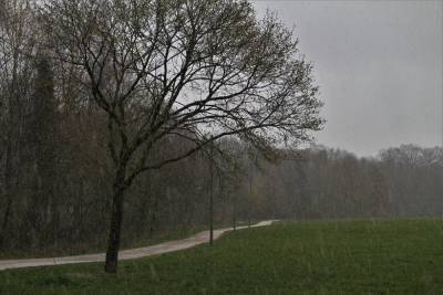 Погода в понедельник в Смоленской области может оказаться дождливой