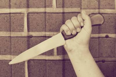 В Тульской области пьяная женщина напала с ножом на мужчину