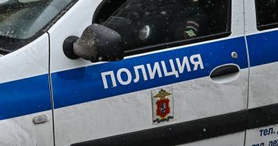 На западе Москвы нашли тело школьницы со следами укусов