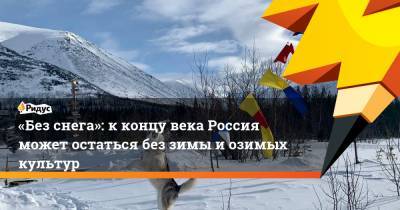 «Без снега»: к концу века Россия может остаться без зимы и озимых культур