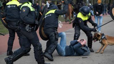 Нидерланды: протесты накануне выборов