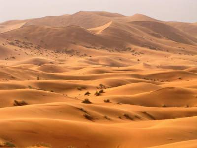 В пустыне Сахара нашли кусок протопланеты, который древнее, чем Земля