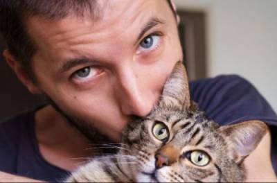 Почему у каждого мужчины должна быть кошка – ответ ученых