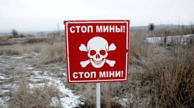 Боевики установили минное поле около Троицкого в Луганской области – штаб ООС