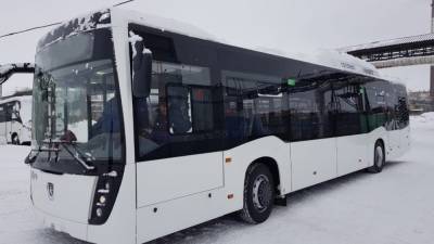 Срок эксплуатации автобусов начнут устанавливать власти регионов РФ