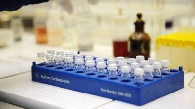 Центр «Вектор» планирует зарегистрировать вакцину от оспы в 2021 году