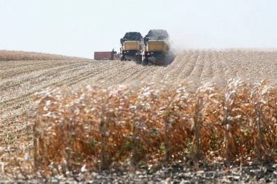 Россия с 15 марта вводит экспортные пошлины на кукурузу и ячмень