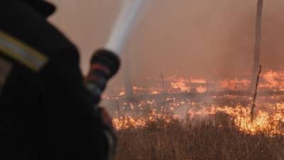 Первый в 2021 году лесной пожар зафиксирован в Еврейской автономной области