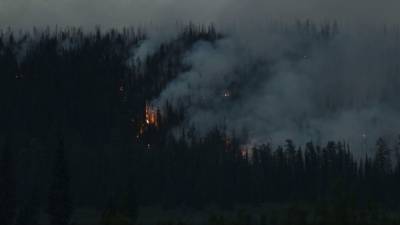 Первый лесной пожар в 2021 году в ЕАО разгорелся на семи гектарах