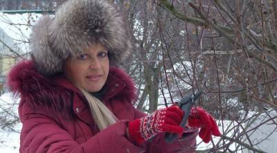Как определить зимой, пострадали ли от морозов плодовые деревья: советы Ольги Вороновой