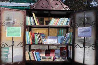 Читинцев просят сообщать о сломанных вандалами книжных шкафах