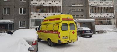 За время пандемии в Карелии госпитализировано 5266 больных пневмонией, за минувшие сутки – еще 6 человек