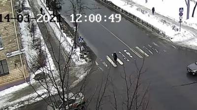 Гибель мужчины, убитого упавшей глыбой льда, попала на видео