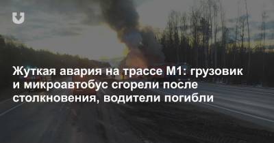 Жуткая авария на трассе М1: грузовик и микроавтобус сгорели после столкновения, водители погибли - news.tut.by