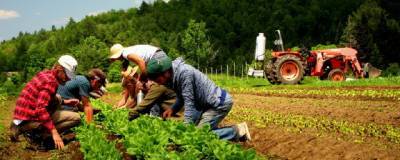 В России развивают программу подготовки специалистов в сфере органического сельского хозяйства