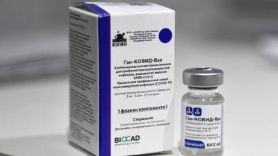 В ЕС готовы к переговорам по закупке российской вакцины "Спутник V" – СМИ