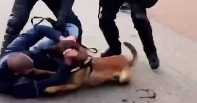 В Гааге полицейские натравили собак на протестующих против карантина (видео)