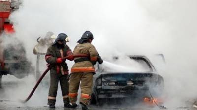 Водитель врезался в дерево и сгорел в ходе преследования полицейскими в Калининграде