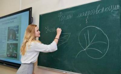 В России хотят уравнять оклады учителей, но не всех