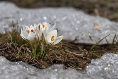 Украинский синоптик дал весенний прогноз: морозы даже в апреле