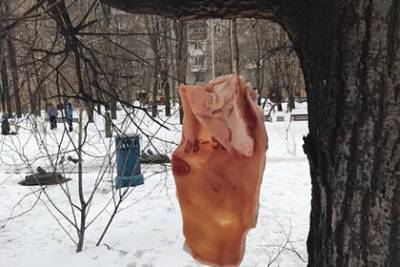 Развешанная на деревьях свинина испугала москвичей