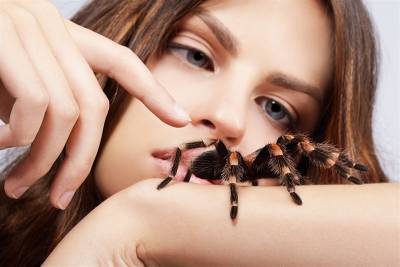 Биолог рассказал, действительно ли люди съедают во сне пауков