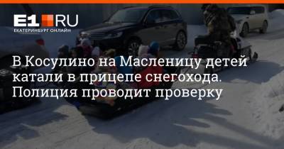 В Косулино на Масленицу детей катали в прицепе снегохода. Полиция проводит проверку