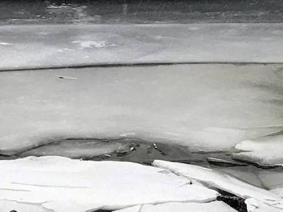 В Волжском трое детей провалились под лед, одного спасти не удалось