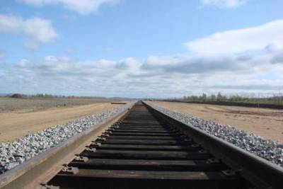 Железную дорогу от Борзи до Быстринского ГОКа запустят в 2022 году