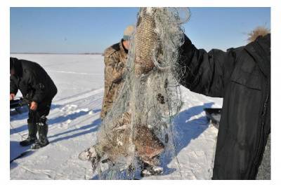 «3 леща и 50 кило льда». В Смоленской области судили рыболова-браконьера