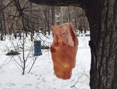 Огромные куски свинины на деревьях напугали москвичей