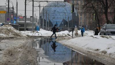 Метеоролог предупредил москвичей о чередовании зимней и весенней погоды