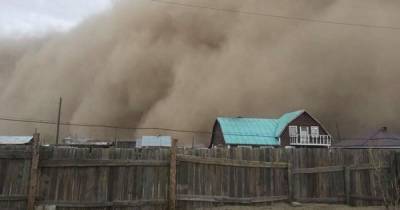 В Монголии из-за песчаной бури погибли 5 пастухов и ребенок (видео)