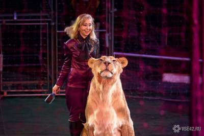 Зрелищное шоу "Львы Африки" в Кемеровском цирке