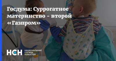 Госдума: Суррогатное материнство - второй «Газпром»
