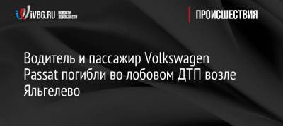 Водитель и пассажир Volkswagen Passat погибли во лобовом ДТП возле Яльгелево