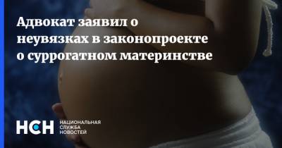 Игорь Трунов - Адвокат заявил о неувязках в законопроекте о суррогатном материнстве - nsn.fm