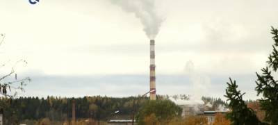 "Мы становимся экологически комфортны»: целлюлозный завод в Пикяранте объявил о снижении выбросов