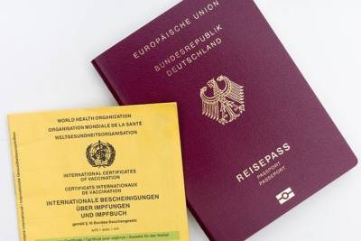«Ковидный паспорт» для Германии будет стоить 2,7 миллиона евро