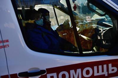 Московская школьница выпрыгнула из окна ради спасения от бойцовых собак