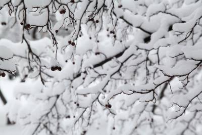 Ученые РАН считают, что к концу века зима в России исчезнет